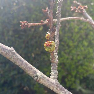 Trabajar el Duelo en Empresas